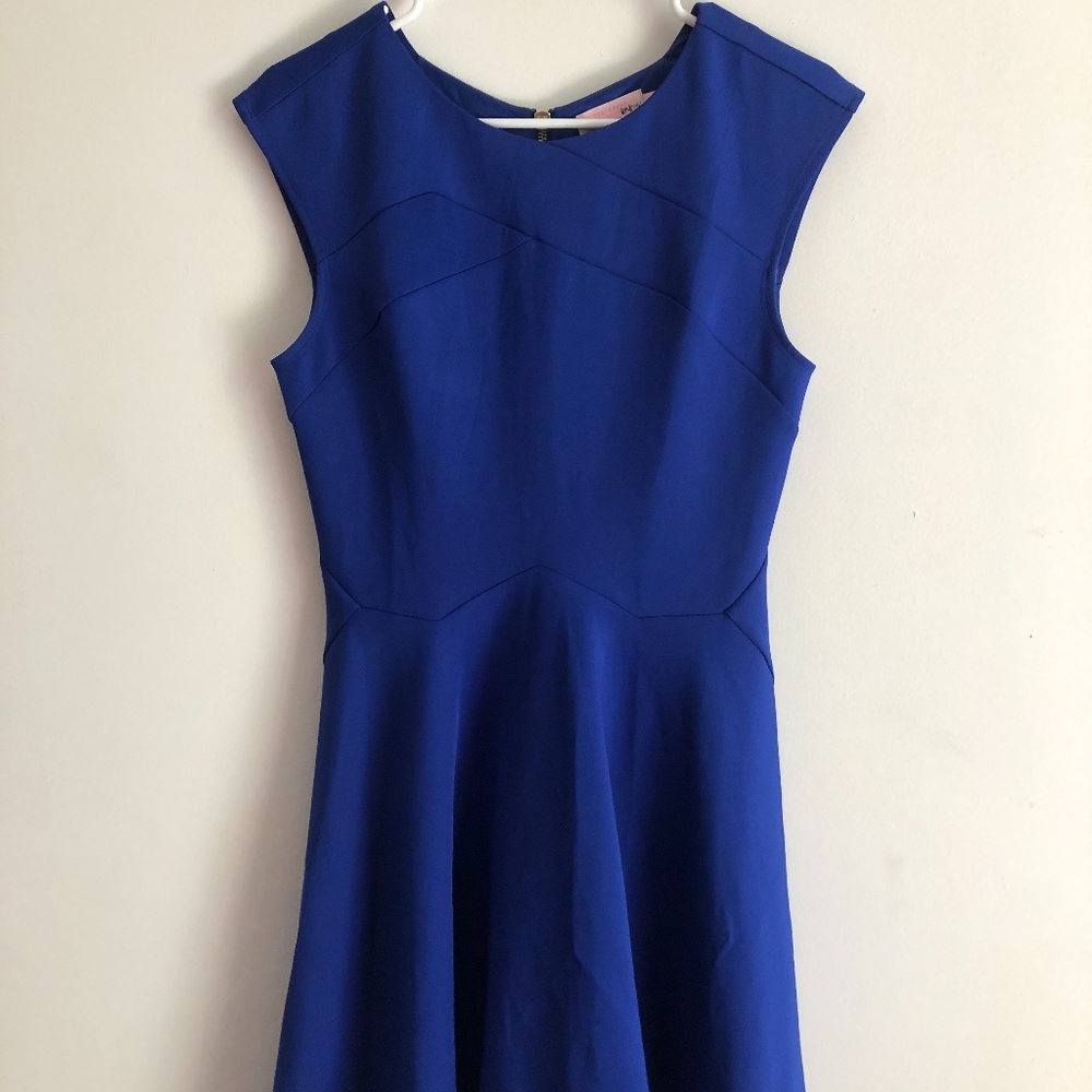 Cobalt blue skater dress
